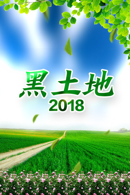 黑土地 2018